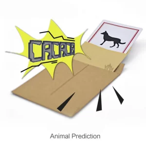 cartão de perigo de truque mágico para crianças, instrumento, close up, animais, previsão, rua, truque, brinquedos