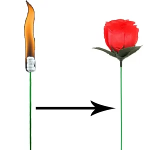 truque de magia rosa diversão presente tochas mudar rosas truques mágicos novidade surpresa brincadeira brinquedo divertido místico